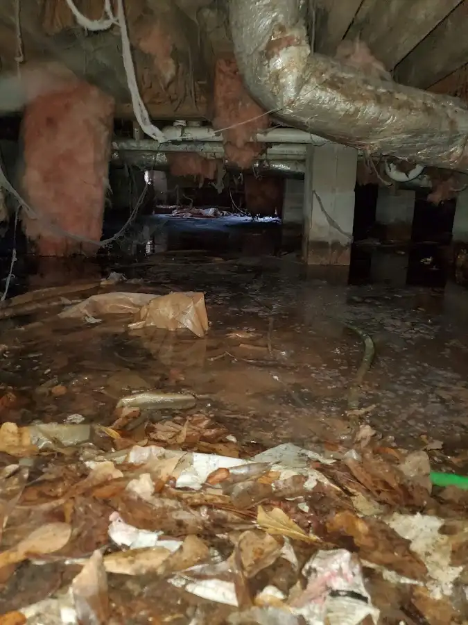 Crawl space flood assessment for Commercial Water Damage Restoration in Imperial Beach
